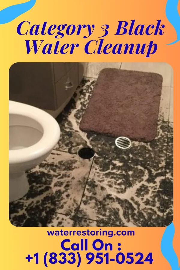 Category 3 Black Water Cleanup in North Perry, OH