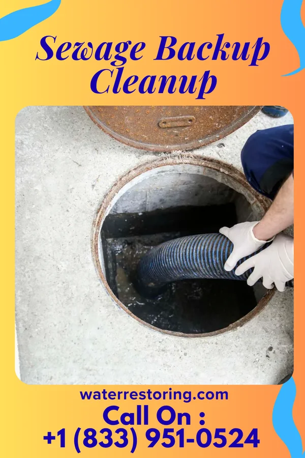 Sewage Backup Cleanup in North Perry, OH