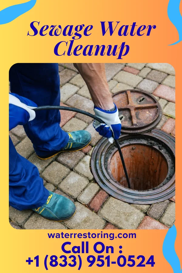 Sewage Water Cleanup in North Perry, OH