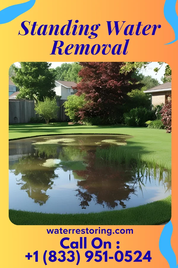 Standing Water Removal in North Perry, OH